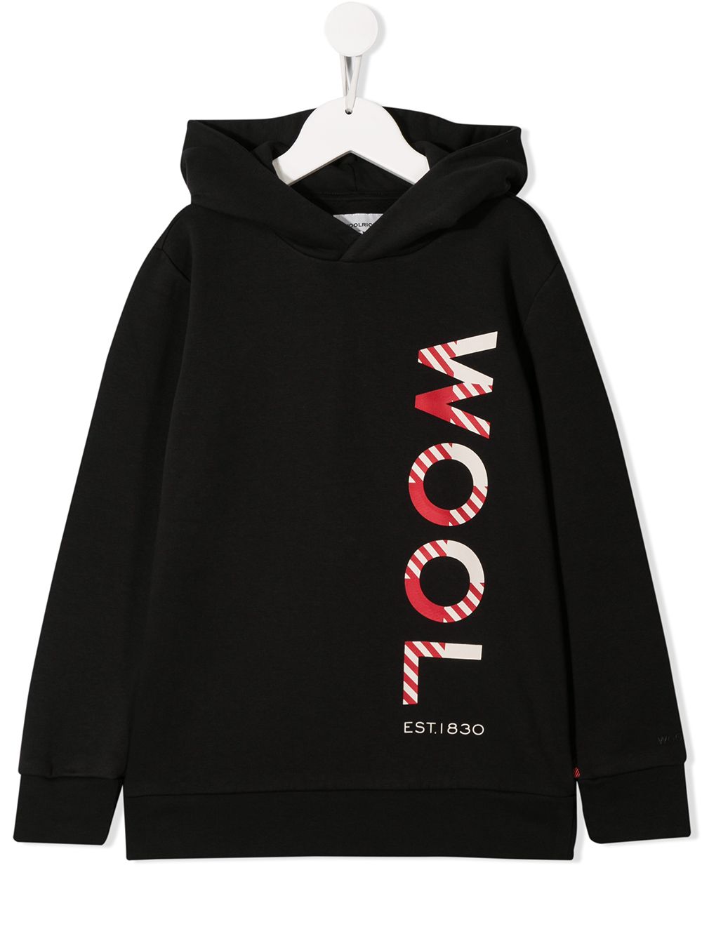 фото Woolrich Kids худи с логотипом