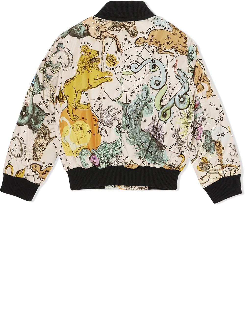 adidas constellation bomber jacket