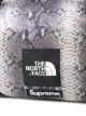 Supreme x The North Face holdall bag