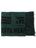 Adish striped pattern scarf - Green