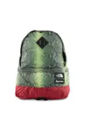 Supreme TNF Snakeskin Lightweight Day backpack - Green