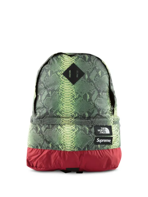 supreme the north face snakeskin lightweight day pack green