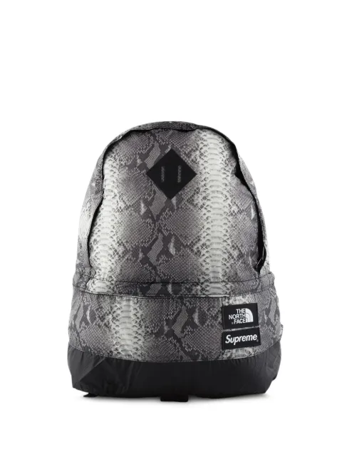 Supreme TNF Snakeskin Lightweight Day backpack