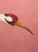 Image 2 of Gucci heron print wallpaper