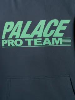 palace pro tool hoodie