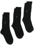 Polo Ralph Lauren set of three ankle socks - Black