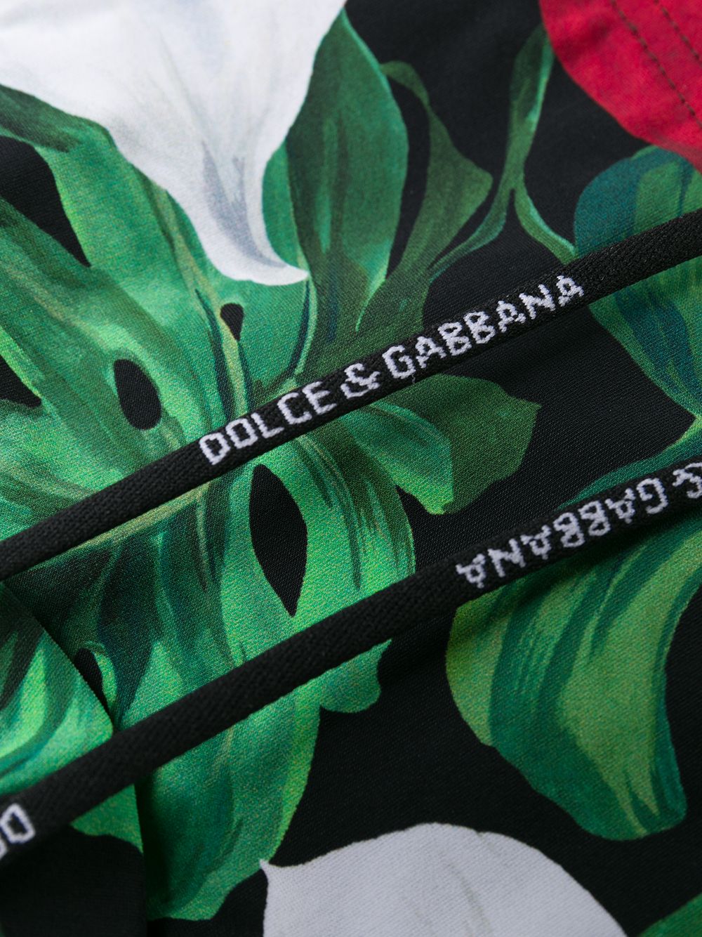 фото Dolce & Gabbana плавки с принтом Anthurium