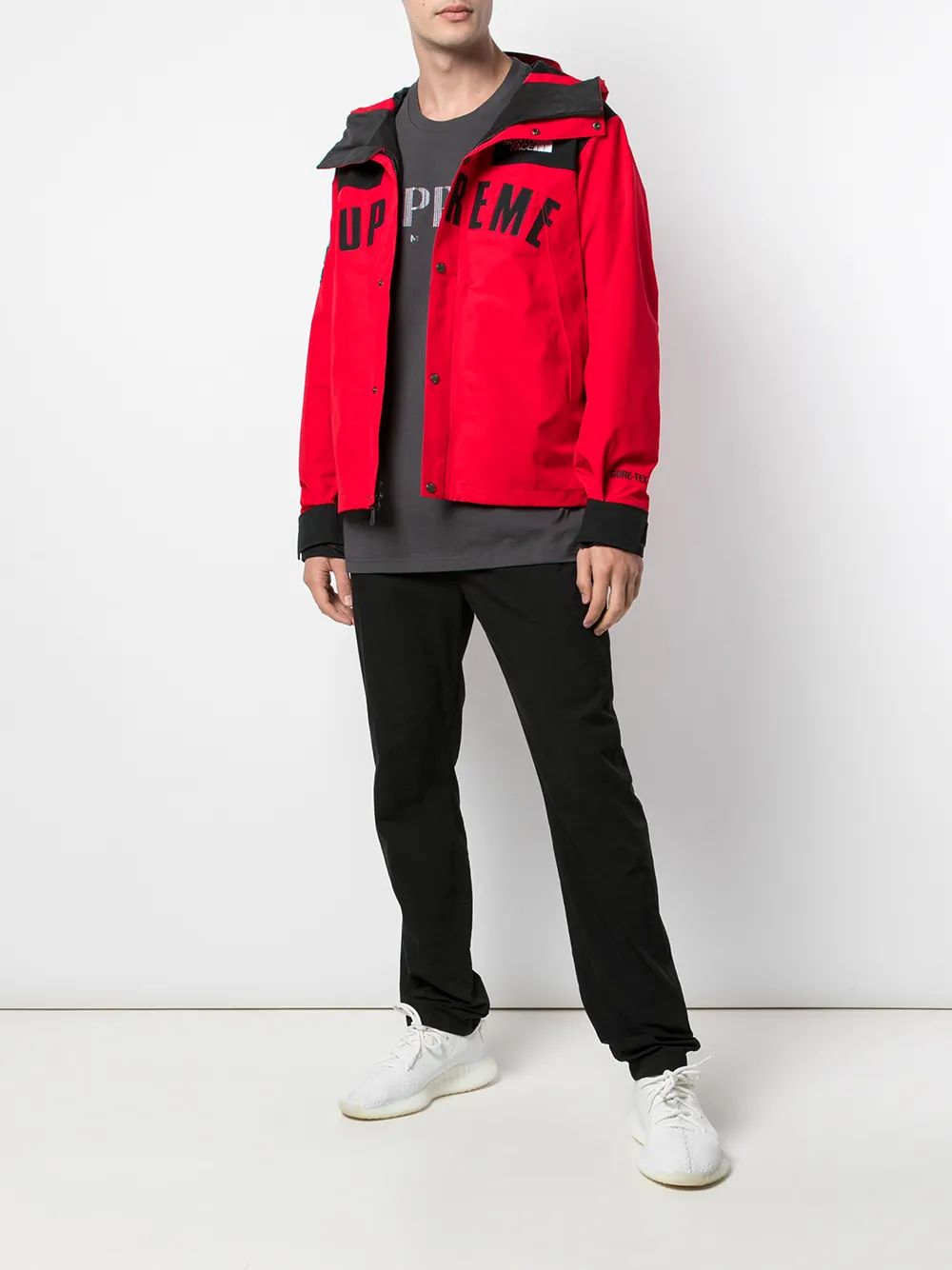 supreme the north face arc logo mountain parka red