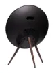Bang & Olufsen A9 4th generation stand-up speaker