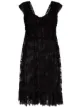 Image 1 of Dolce & Gabbana sheer lace mini dress
