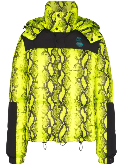 green snakeskin jacket