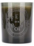 Diptyque Feu de Bois candle - Green