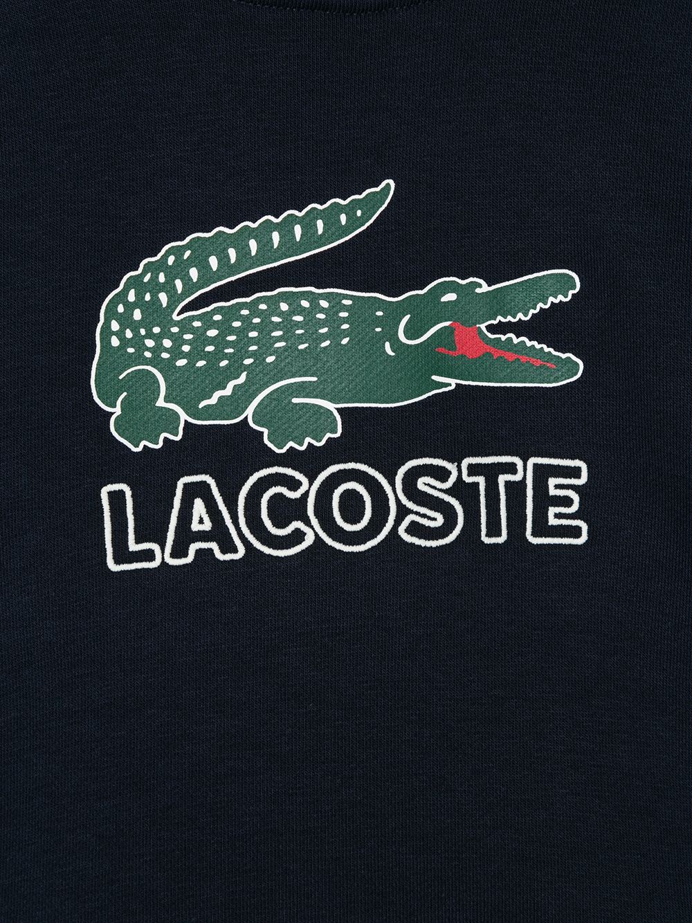 фото Lacoste Kids худи с логотипом