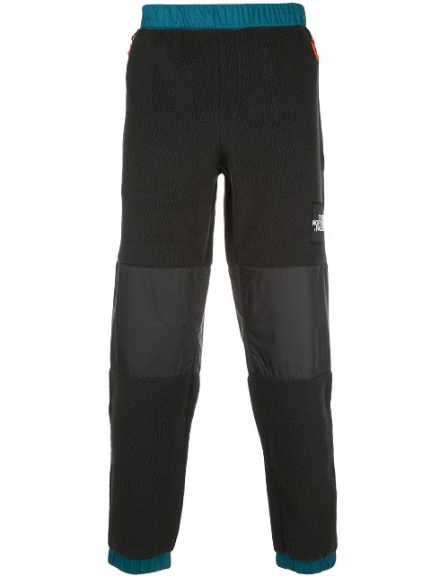 tnf denali pants