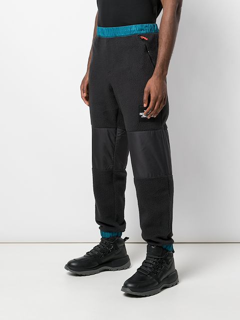 tnf denali pants