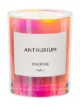 Image 1 of Overose Anthurium Holographic candle (240g)