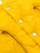 Moncler x Poldo x Poldo dog puffer jacket