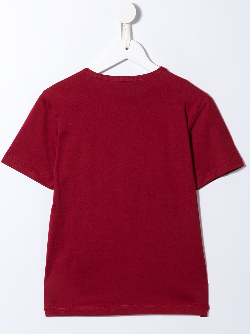 Dolce & Gabbana Kids T-shirt met print - Rood