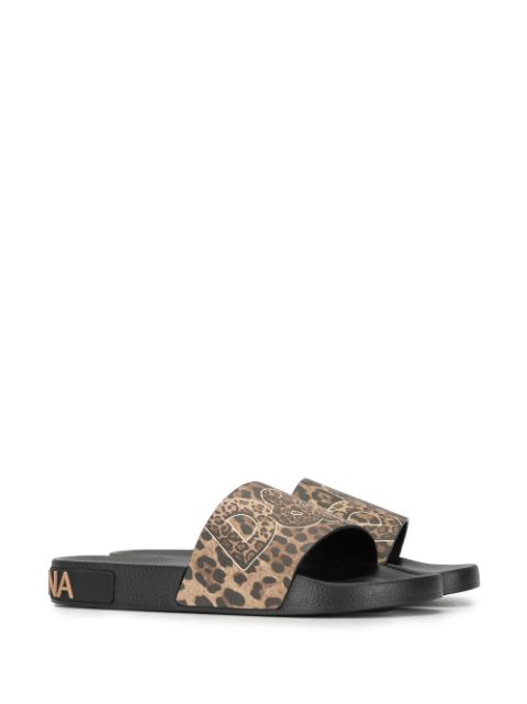 dolce and gabbana leopard slides