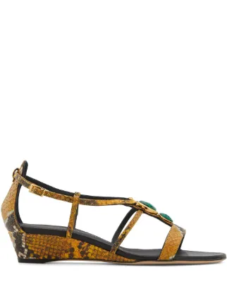 Giuseppe Zanotti