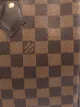 Louis Vuitton pre-owned Speedy holdall