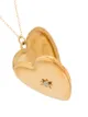 Sasha Samuel 14kt gold-plated Anouk heart locket necklace