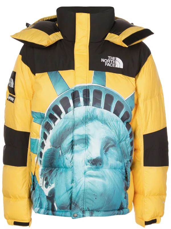 jaqueta supreme x the north face