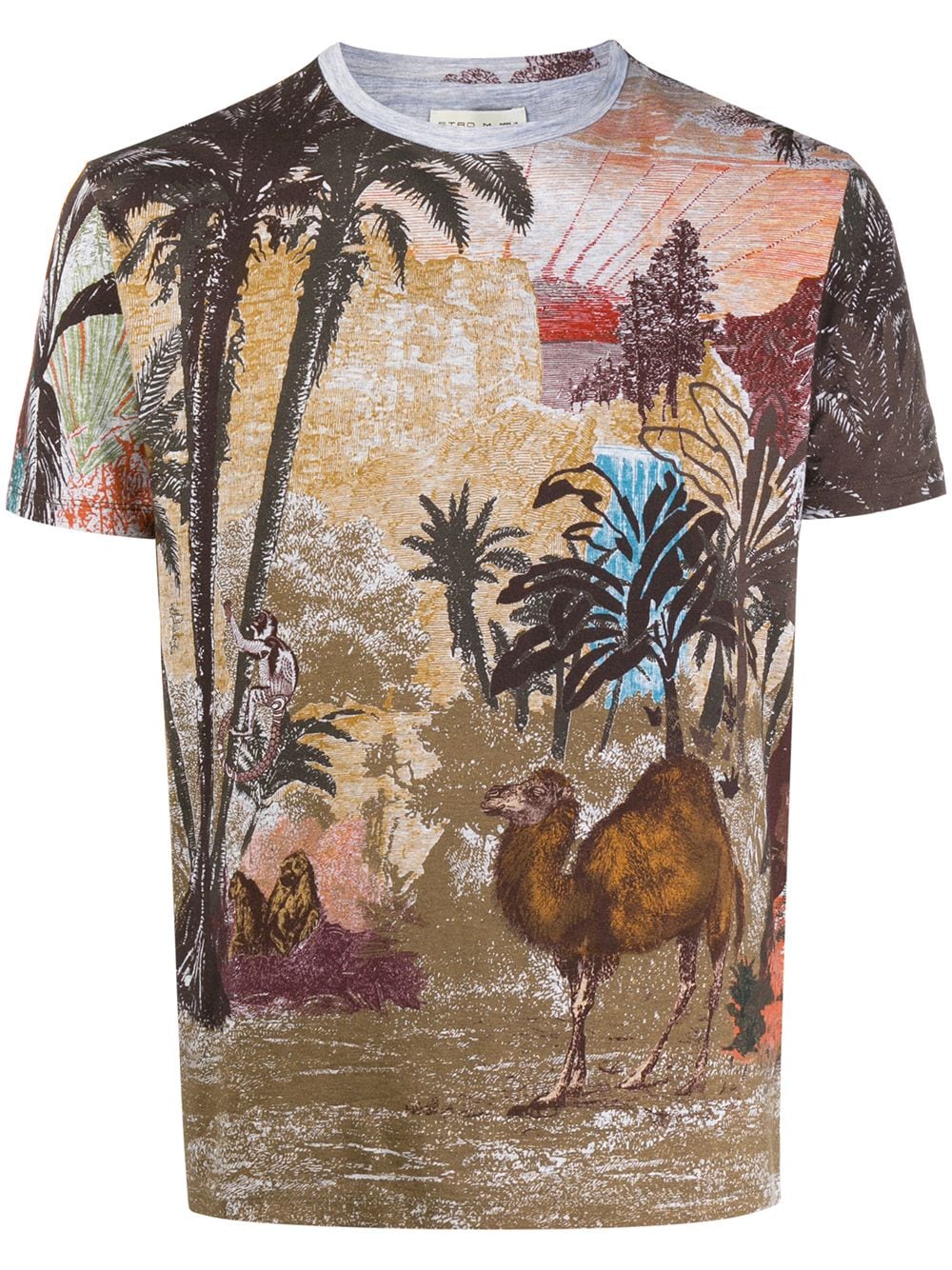Etro Jungle-print T-shirt In Brown