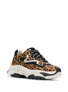 ash sneakers addict leopard