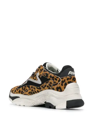 ash sneakers addict leopard