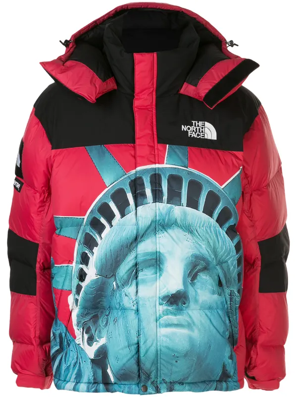 supreme tnf jacket