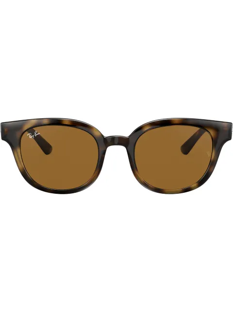 wayfarer tortoiseshell sunglasses