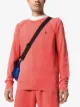 Image 2 of Polo Ralph Lauren logo-embroidered sweatshirt