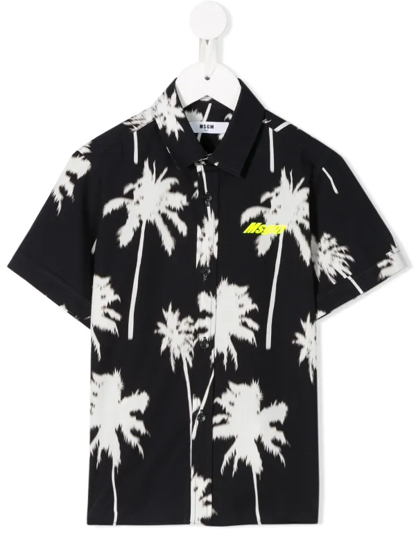 palm tree kidswear