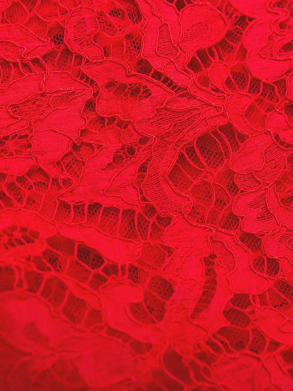 Valentino Garavani floral lace A-line minidress | Image 6