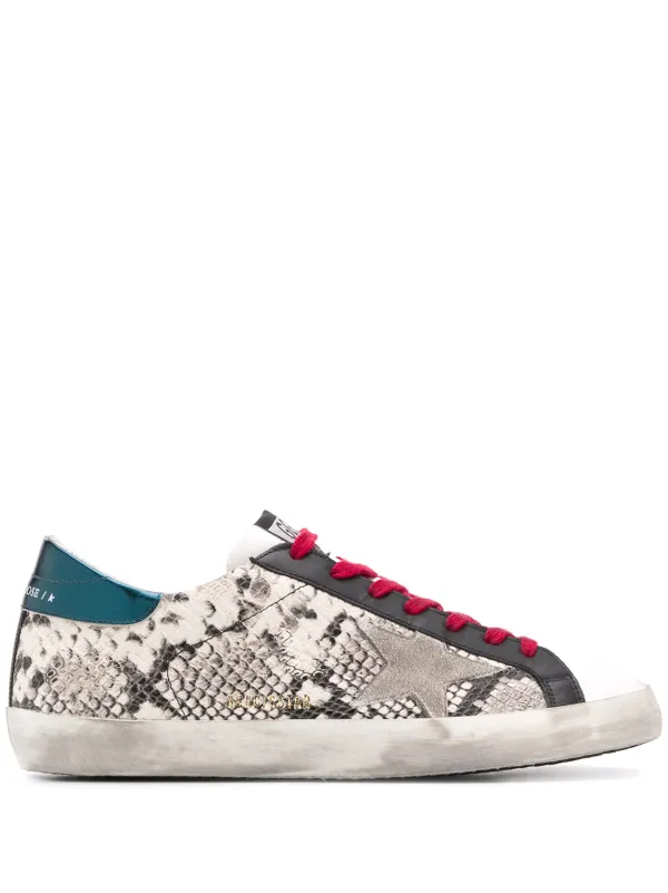 superstar snake