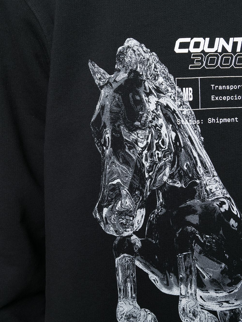 фото Marcelo burlon county of milan graphic print sweatshirt