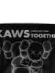 KAWS "Together" Companion figure