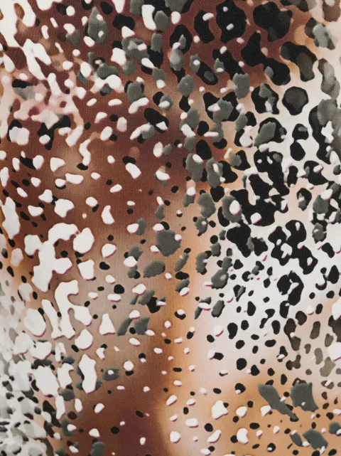 ROSEANNA ATELIER PAMELA ANIMAL PRINT SWIMSUIT