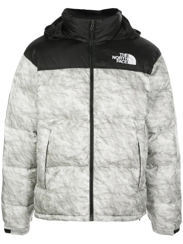 coat the north face