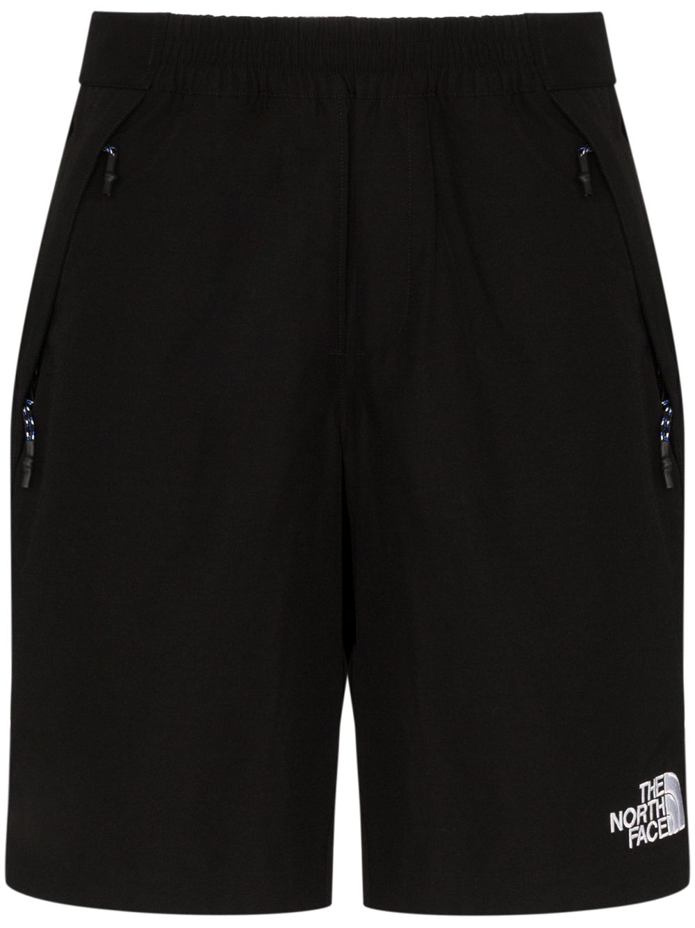 фото The north face black series spectra track shorts