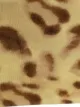 Adriana Degreas leopard-print bikini set