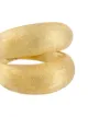 Eshvi double-loop ring