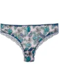 Dolci Follie butterfly brazilian briefs - Blue