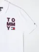 Tommy Hilfiger Junior قميص بولو بتطريز شعار الماركة