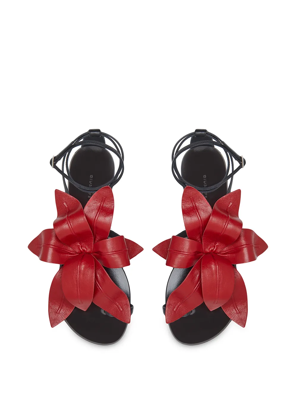 Giuseppe Zanotti floral appliqué sandals Black