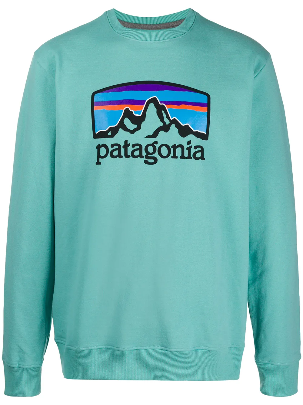 Patagonia Logo Print Sweatshirt In 绿色