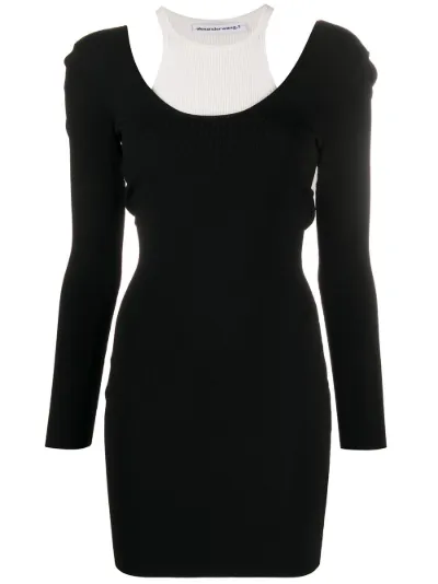 Alexander Wang layered sweater dress 