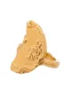 Image 1 of Alighieri 24kt gold-plated Leone Chapter II ring