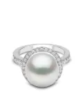 Yoko London 18kt white gold Classic south sea pearls and diamond ring - Silver